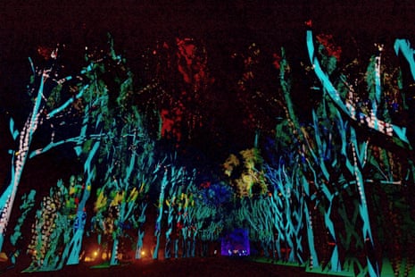 Six Seasons: a 700m tunnel of light, sound and stories which was projected across red-flowering gums at Kings Park in Perth.
