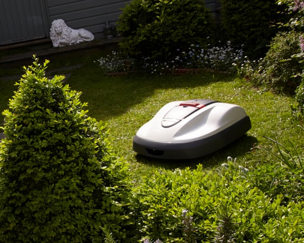 Robot lawnmower