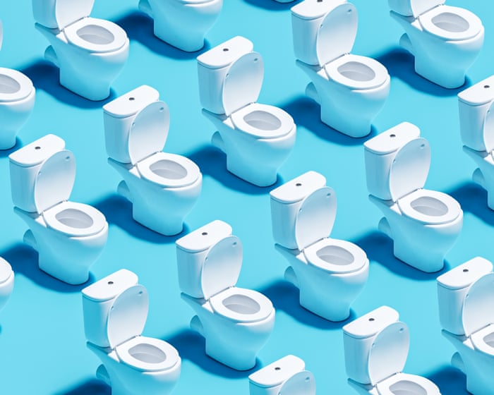 ‘Chasing the ideal gut’: Poop-tracking cameras claim to give health insights. Are they necessary?
