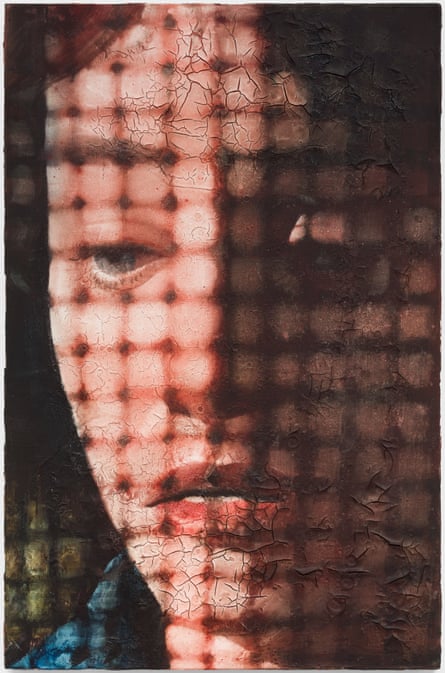 Clean Windows Kill Birds, 2025.