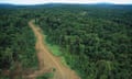 Aerial view of a logging road through rainforest