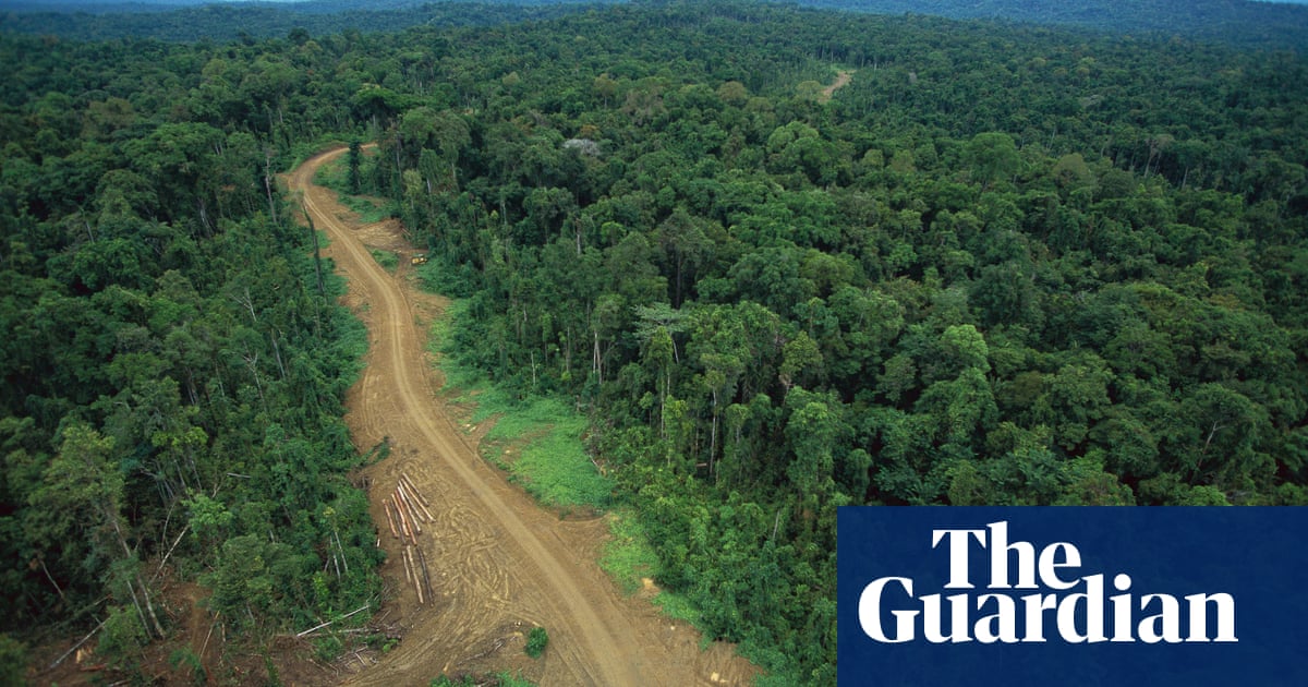 Network of ‘ghost roads’ paves the way for levelling Asia-Pacific rainforests | Deforestation