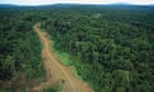 Network of ‘ghost roads’ paves the way for levelling Asia-Pacific rainforests