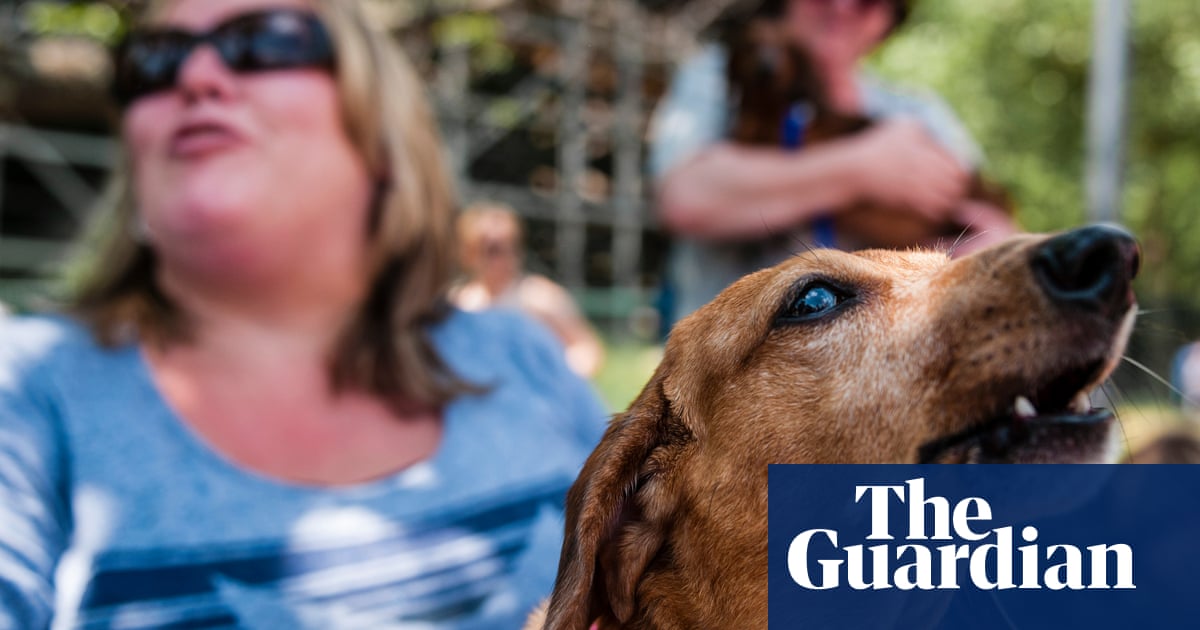 Dachshund memes and wiener dog humor – the smoothe store The annual Wiener Dog 100 race - in pictures | Life and style | The