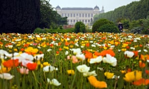 flowers in the jardin des plantes in paris