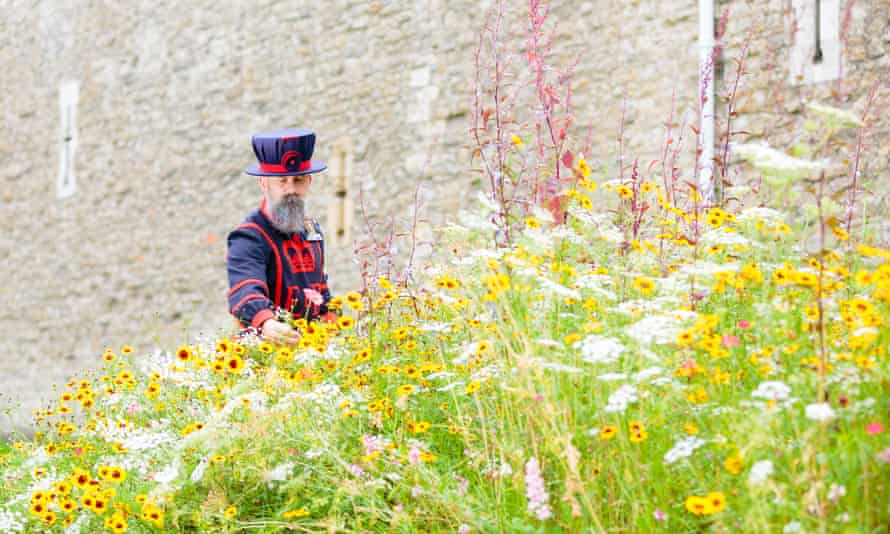 Superbloom, London at the Tower of London
