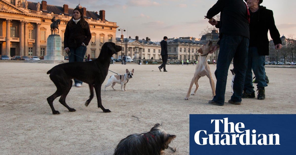 Barklife: Paris finally allows dogs into its public parks