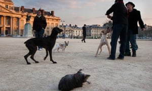 Dogs and their owners at the Champ de Mars, a park beneath the Eiffel Tower, which until recently was one of the few spaces open to dogs.