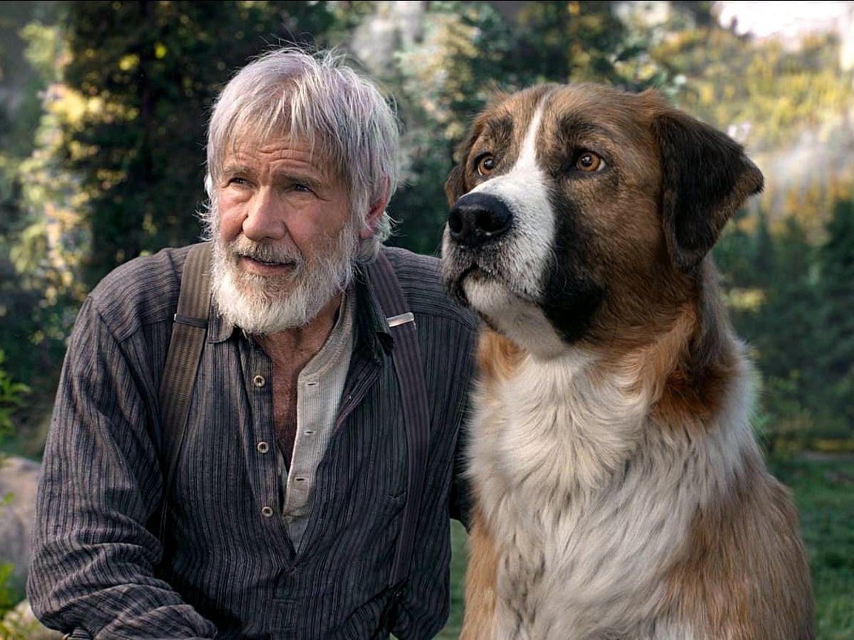 The Call Of The Wild Review Old Fashioned Shaggy Dog Story With Bite Film The Guardian