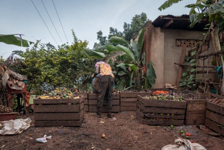 A person sorts through discarded food in a wooden container.
