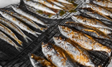 Mackerel fish on a grill