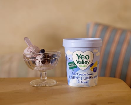 A glass bowl of blueberry and lemon curd ice-cream and the branded tub