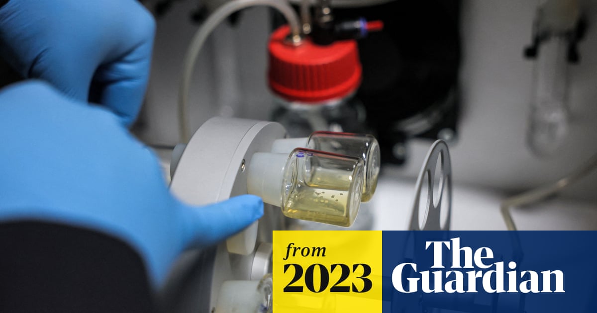 www.theguardian.com