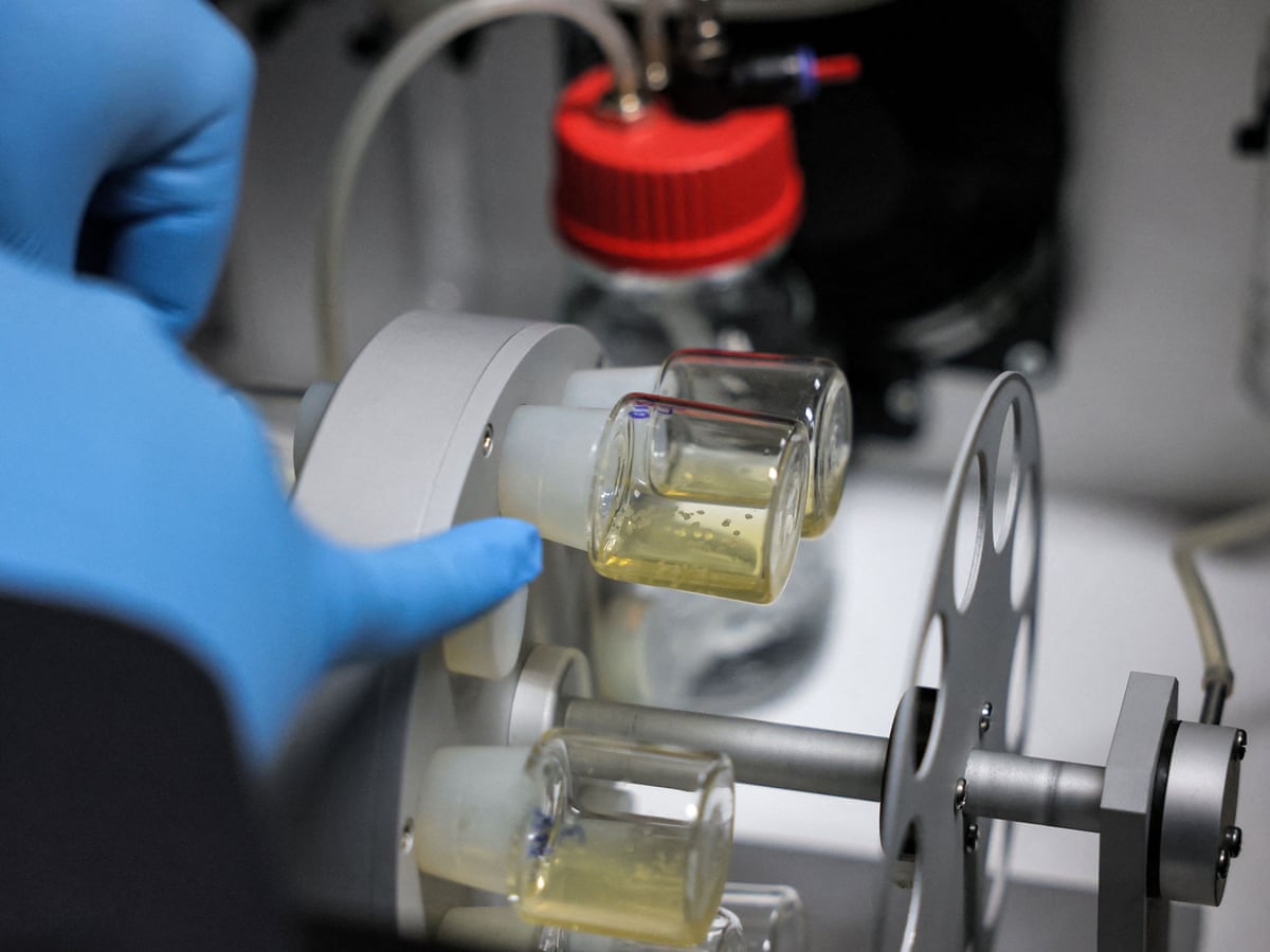 Synthetic human embryos created in groundbreaking advance | Biology | The Guardian