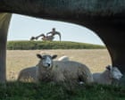 Flock and awe: inside the big changes at Henry Moore’s glorious sheep-filled Hoglands home