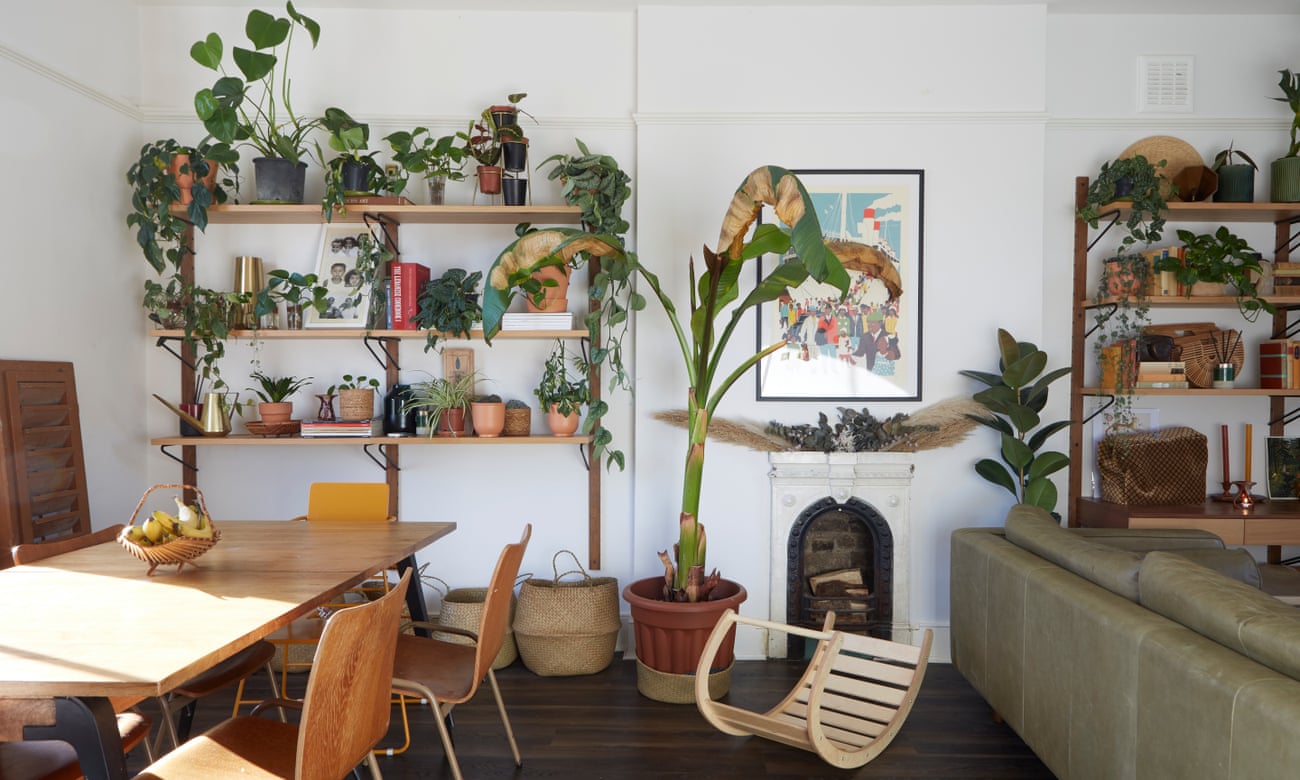 ‘Earthy tones, second-hand furniture, natural fabrics and abundant plant life fill the space with warmth and character’: the living-dining room.