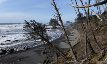 A coastline of the Pacific Ocean, damaged by erosion, on the Quinault Indian Reservation in Taholah, Washington.