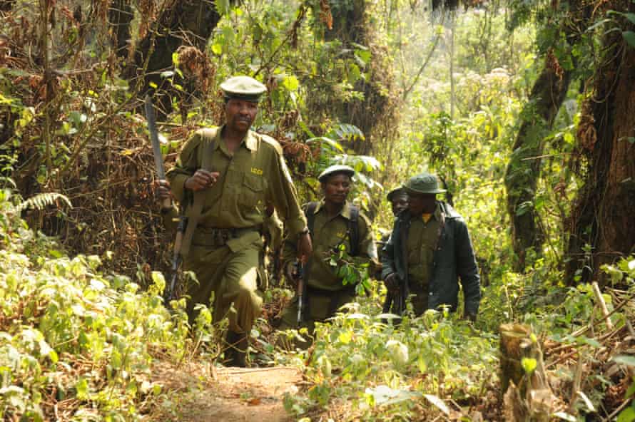 Park rangers carrying out an anti-poaching patrol in Kahuzi-Biega national park.