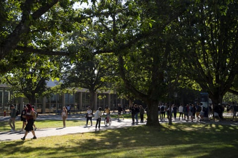 people on walkway surrounded by tall trees