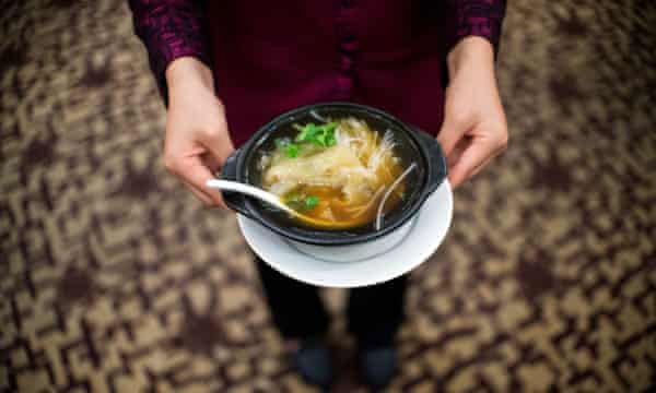 Marine Gold Rush Demand For Shark Fin Soup Drives Decimation Of Fish Environment The Guardian