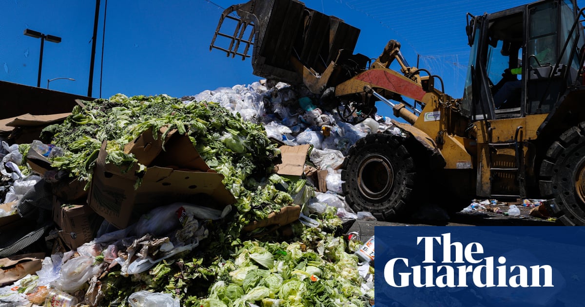 California tackles food waste with largest recycling program in US