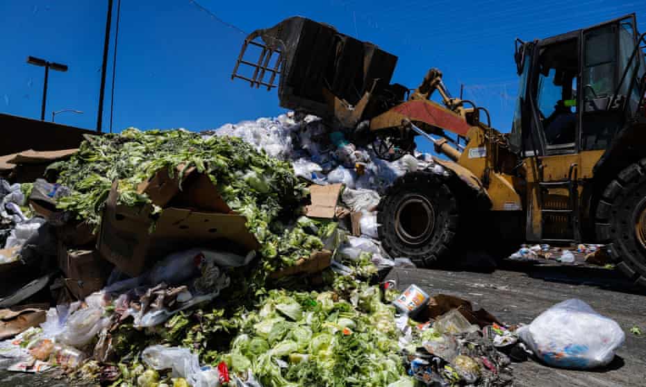 A bulldozer dumps garbage on a pile. In the foreground of that pile are destroyed boxes with lettuce spilling out.