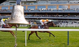 talking horses bank on sabador to seal victoria cup for buick at