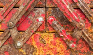 ‘A close-up of a rusty old toolbox left out in my backyard.’