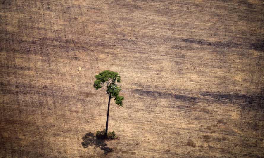 A deforested area in the middle of the Amazon jungle.