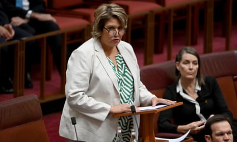 Liberal Senator Kerrynne Liddle makes her first speech in the Senate chamber at Parliament House in Canberra