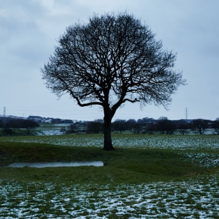 Oak tree in Greenmount, 4 March