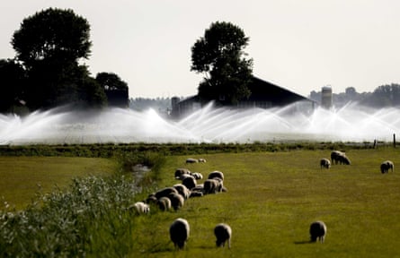 Sprinklers spray land with water in the area around Castricum, the Netherlands.