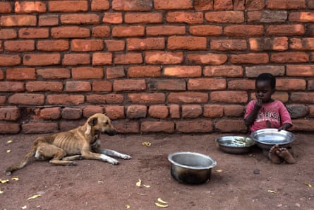 An emaciated dog watches a child eat in a village in Chikwawa, one of the areas most affected by drought in Malawi.