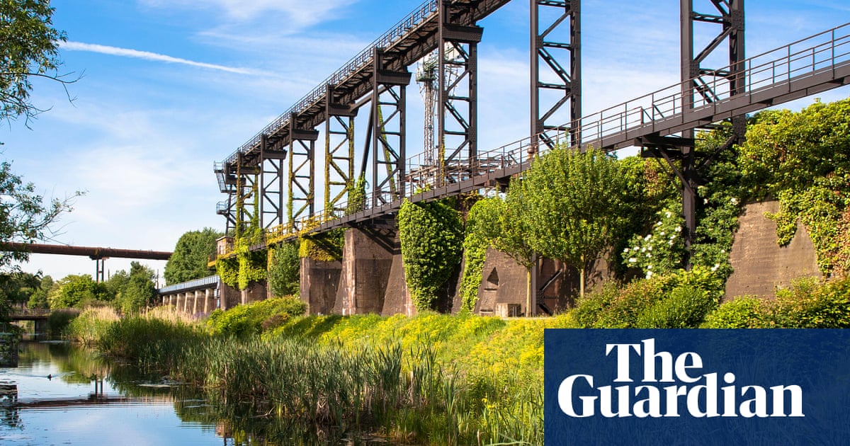 It was filthy and it stank terribly': how Europe's dirtiest river was brought back to life