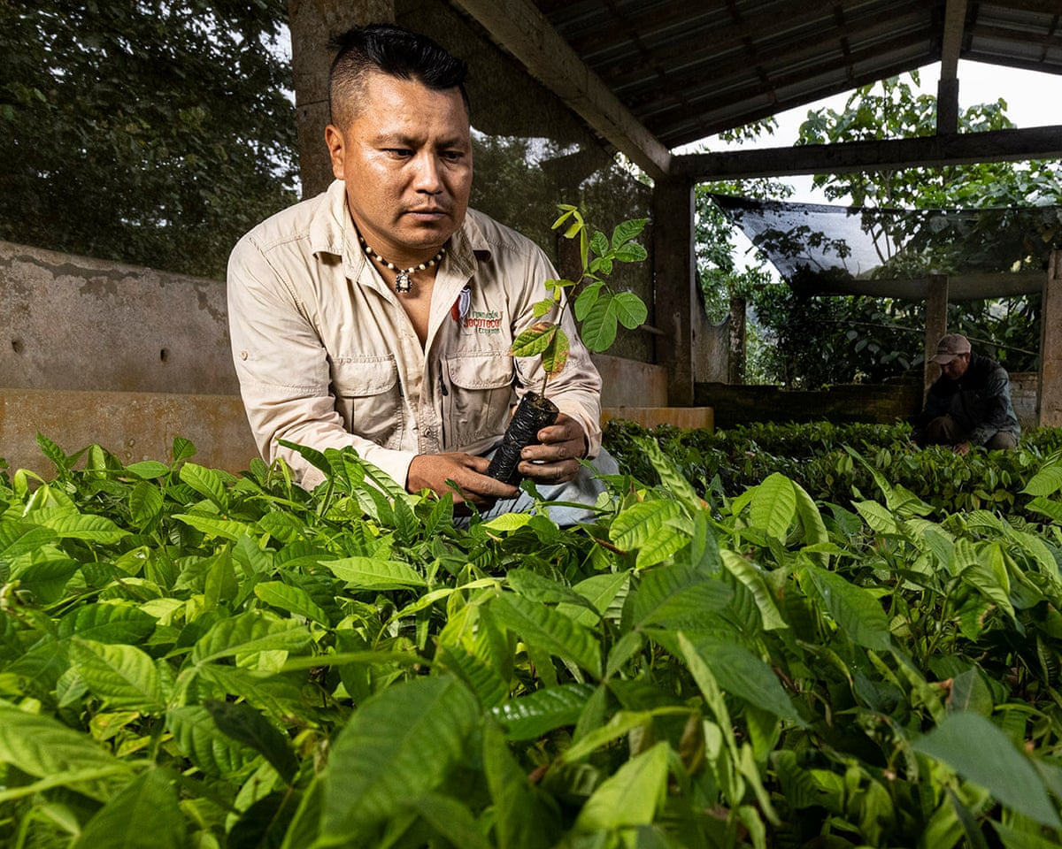 A man in a covered plant nursery looks after young trees being prepared for a reforestation project in Ecuador.