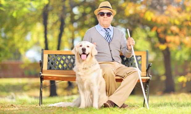 Senior blind gentleman sitting on a bench with his labrador retriever dog, in a park