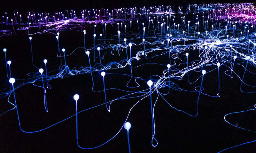 The Field of Light installation at Marston Park