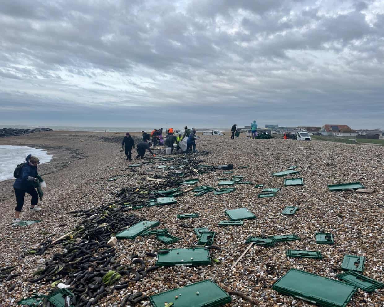 1500.jpg?width=620&dpr=2&s=none&crop=none