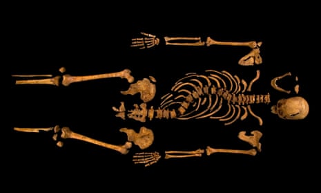The skeleton of Richard III, which was discovered at the Grey Friars excavation site in Leicester. 