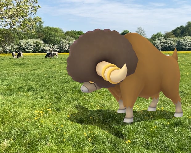 The Pokémon Bouffalant in Cambridge