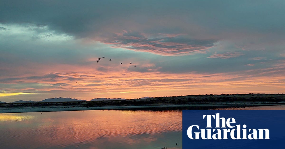 ‘We thought we’d got the numbers wrong’: Holloman Lake is a birder’s paradise – and has the highest levels of ‘forever chemicals’ on record | Pfas ‘We thought we’d got the numbers wrong’: Holloman Lake is a birder’s paradise – and has the highest levels of ‘forever chemicals’ on record | Pfas