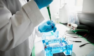 A scientist in a laboratory