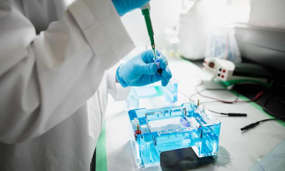 Scientist with pipette loading DNA gels in laboratory