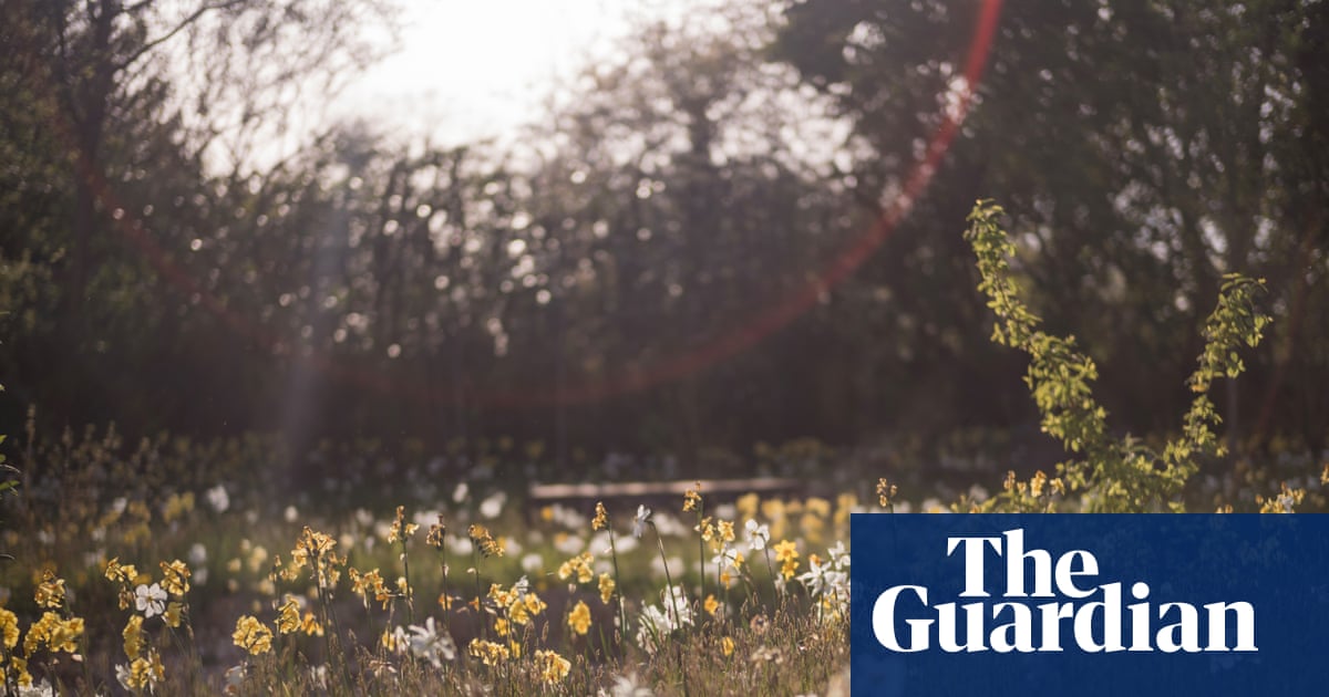 A new haven for wildlife: London's Queen Elizabeth II garden opens to the public in pictures