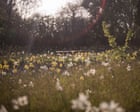 EnviroWireDaily — A new haven for wildlife: London’s Queen Elizabeth II garden opens to the public – in pictures