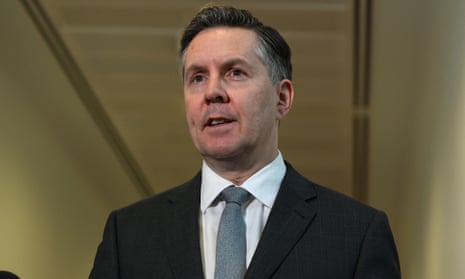 The health minister, Mark Butler.