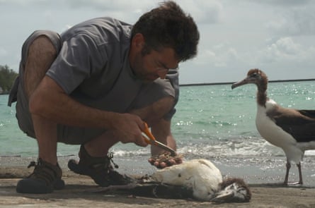 Jordan inspects the plastic ingested by a chick in Albatross.