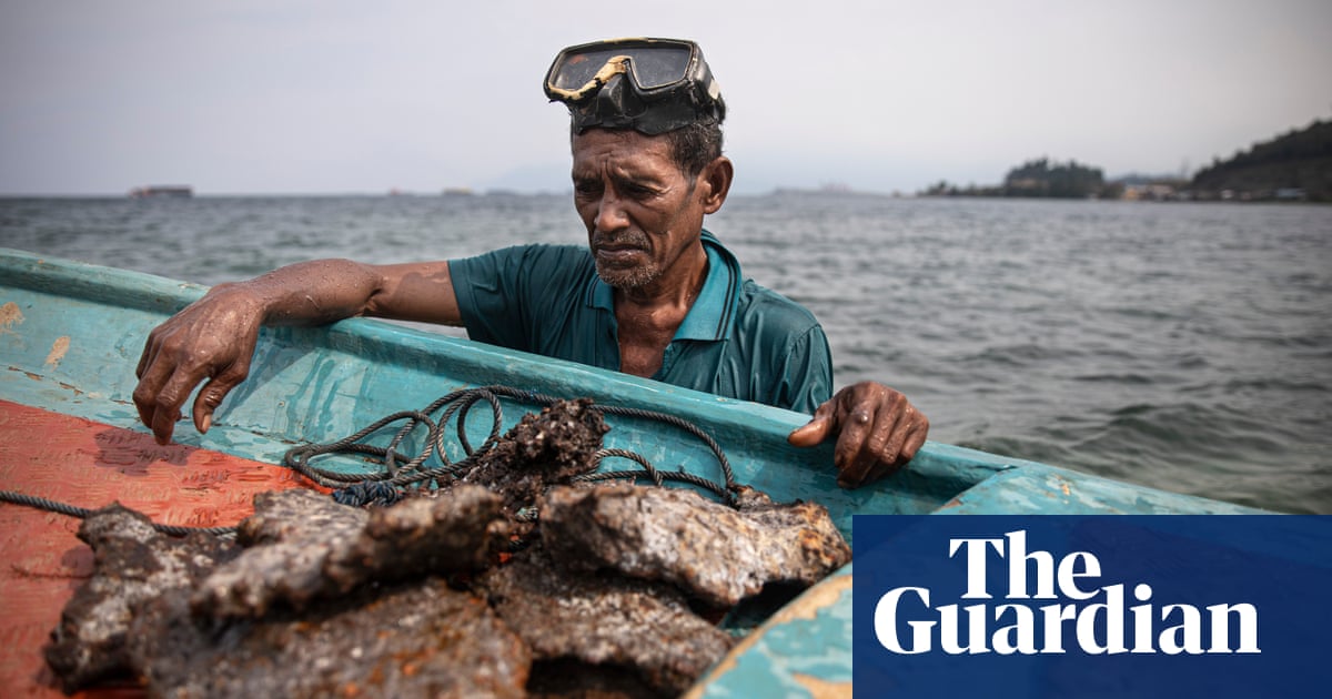 Cheap coal, cheap workers, Chinese money: Indonesia’s nickel success comes at a price | Indonesia Cheap coal, cheap workers, Chinese money: Indonesia’s nickel success comes at a price | Indonesia