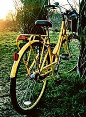 Yellow bike in countryside