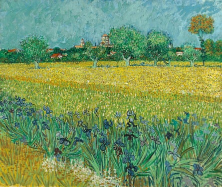 Field with Irises Near Arles by Vincent van Gogh.